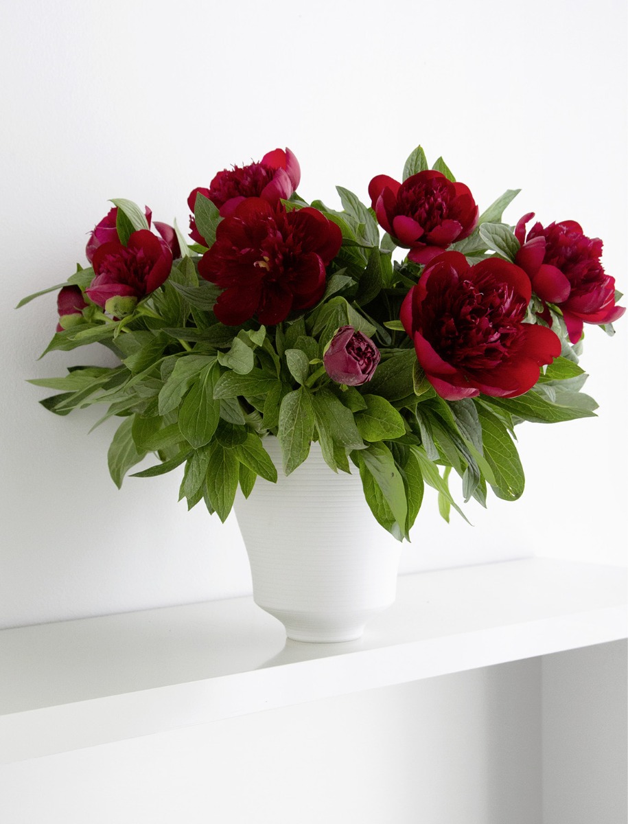 Tafelaccessoires hering berlin Tafelaccessoires hering berlin